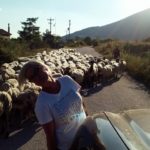 wyprawa_offroad_do_grecji_56