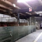 andrzejki_offroad_sobkow_14