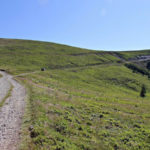 Rumunia_Transylwania_offroad_26