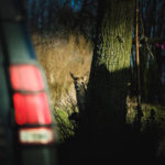 sylwester_offroad_gory_siwetokrzyskie_109