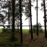 litwa_kotwa_estonia_offroad_074