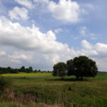litwa_kotwa_estonia_offroad_095
