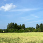 litwa_kotwa_estonia_offroad_135
