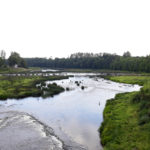 litwa_kotwa_estonia_offroad_195