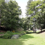 litwa_kotwa_estonia_offroad_203