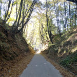 DSC04833