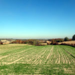 DSC04836