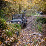 _DSC6950-Edit