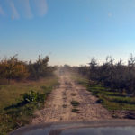 IMG_20181013_111426