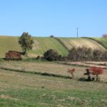 IMG_9451