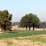 IMG_9454a
