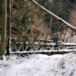 zima-off-road-drawskie-2