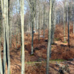 trasa off road pojezierze drawskie 61