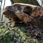 trasa off road pojezierze drawskie 69