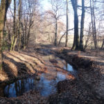 trasa off road swietokrzyskie_50