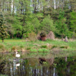 DSC_4131