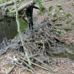majowka-offroad-drawskie-21