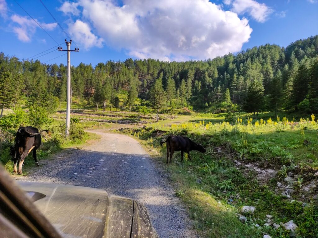 albania off-road foto 6