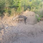 albania-offroad-b35