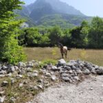 albania-offroad-b62