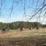 przewodnik-offroad-39-wolomin-treblinka-12