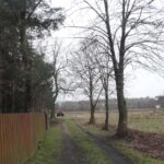 przewodnik-offroad-39-wolomin-treblinka-53