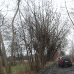 przewodnik-offroad-39-wolomin-treblinka-60