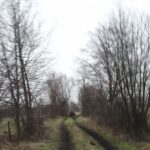przewodnik-offroad-39-wolomin-treblinka-63