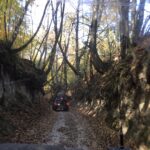 offroad-kazimierz-22