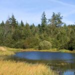 litwa-lotwa-estonia-off-road-58