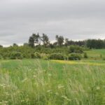 suwalszczyzna-offroad-04