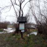 andrzejki-offroad-14