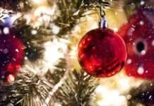 Święta off-road w Górach Świętokrzyskich