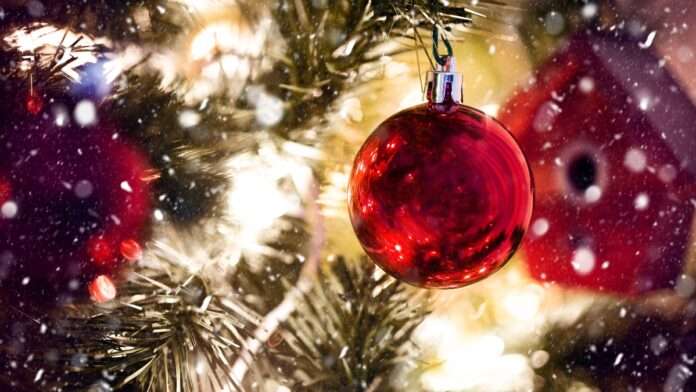 Święta off-road w Górach Świętokrzyskich