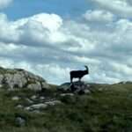 wyprawa-off-road-do-Szkocji-2025-fot-531