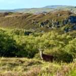 wyprawa-off-road-do-Szkocji-2025-fot-532